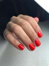 Noy Nails