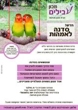 מכון שבילים