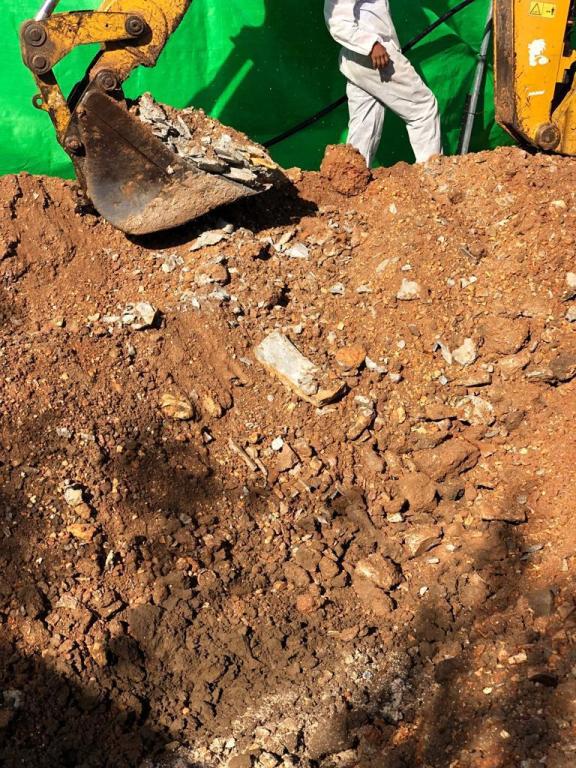 עופר זהבי עופר זהבי