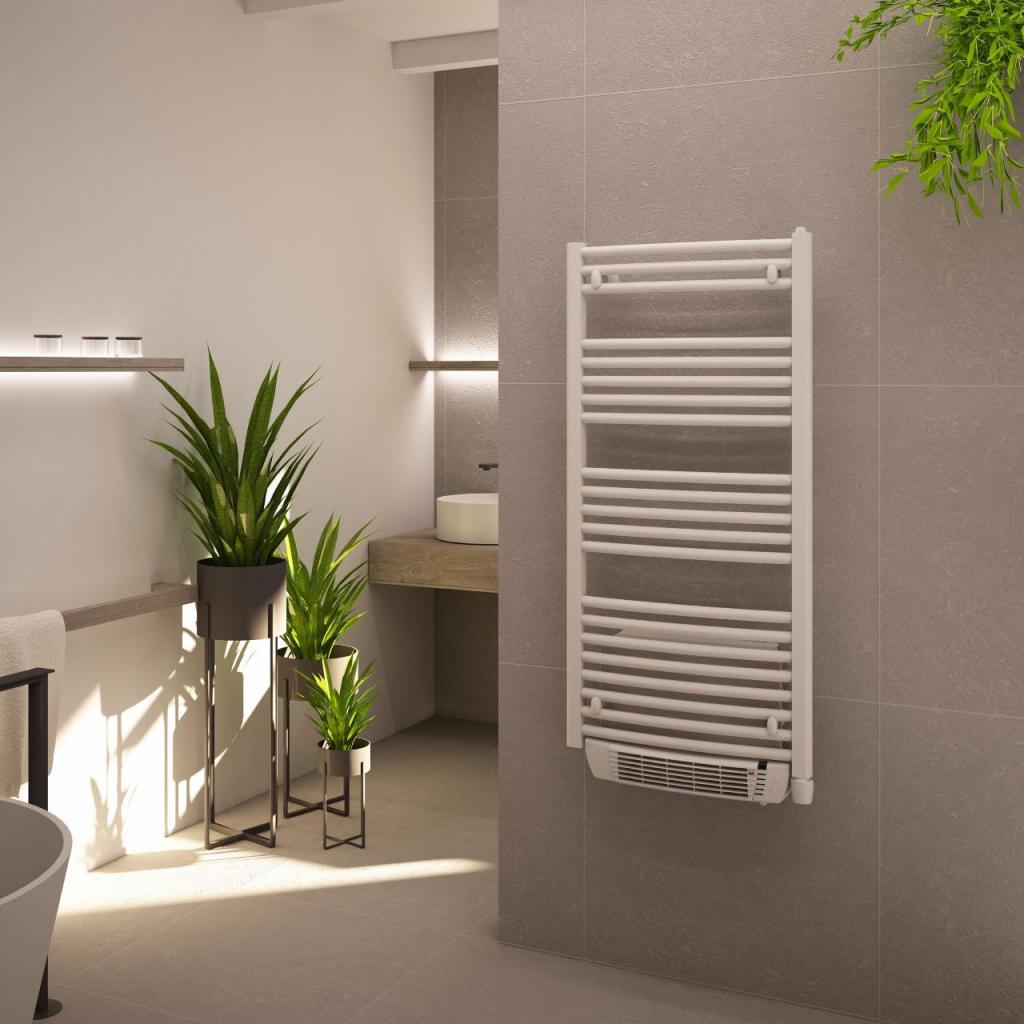 ארנ משה זיו בעמ ארנ משה זיו בעמ