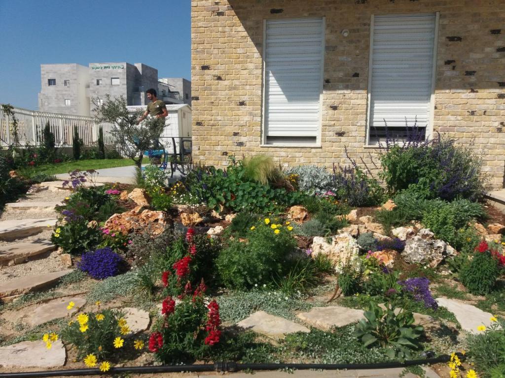 גינה וערוגה גינה וערוגה