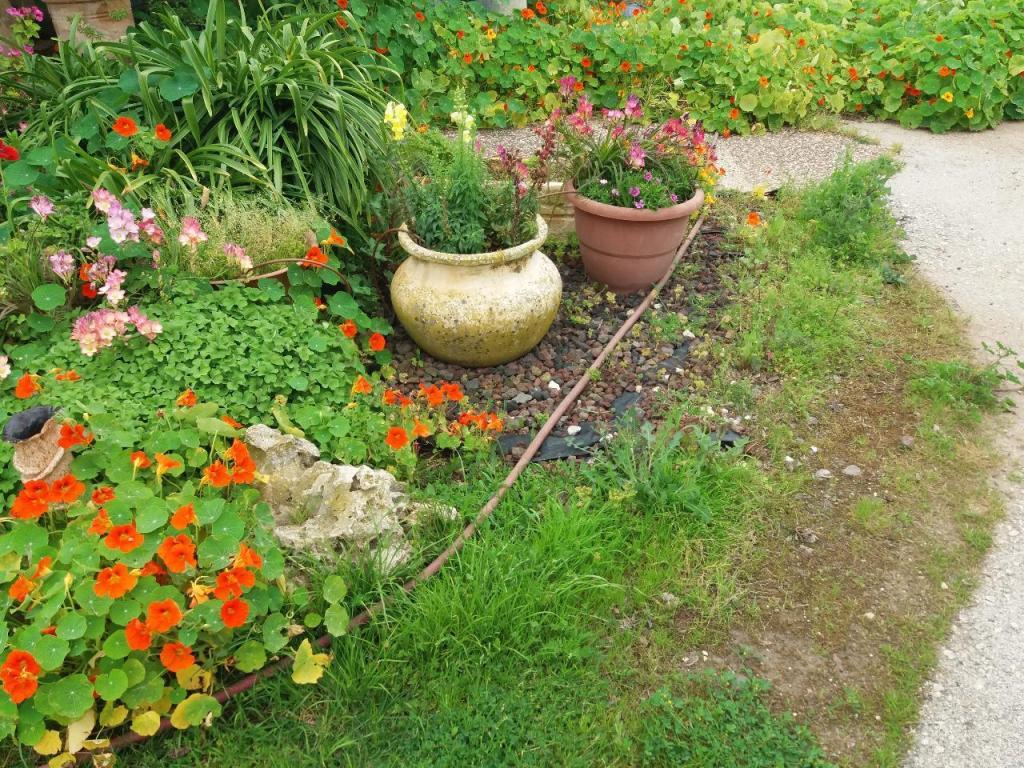 גינה וערוגה גינה וערוגה