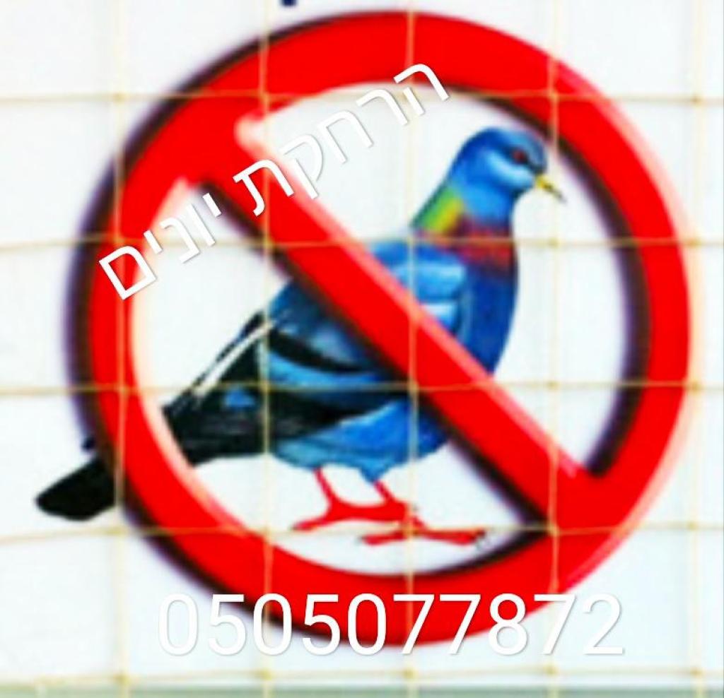 ניסים מדמון ניסים מדמון