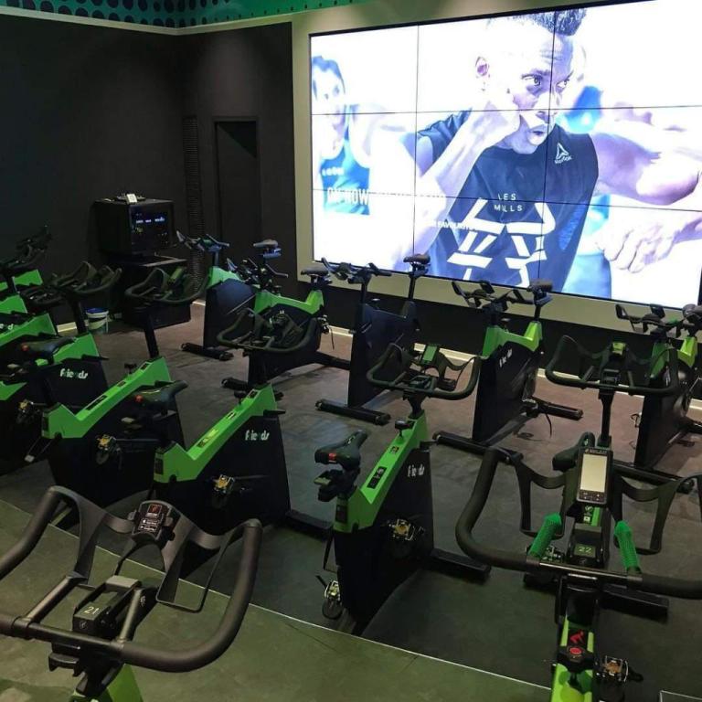 פרנדס פרנדס