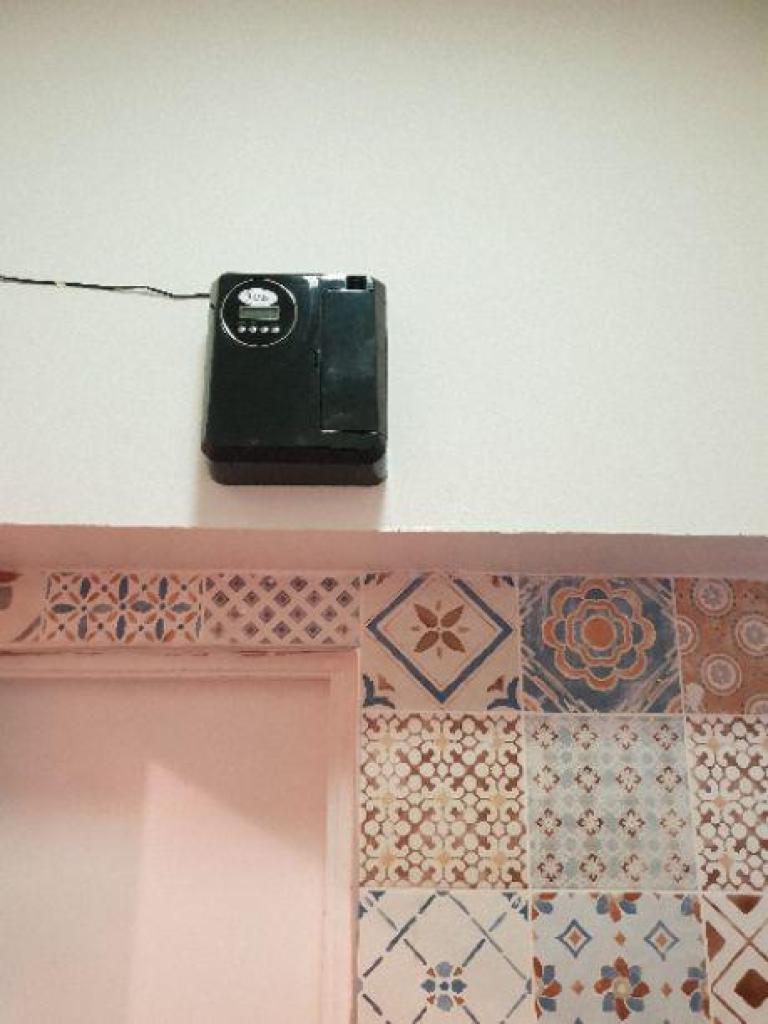 לייף ארומה לייף ארומה