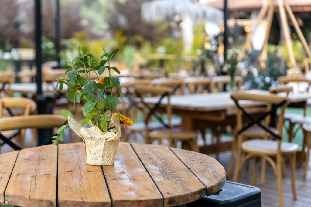 Alona art photography Alona art photography