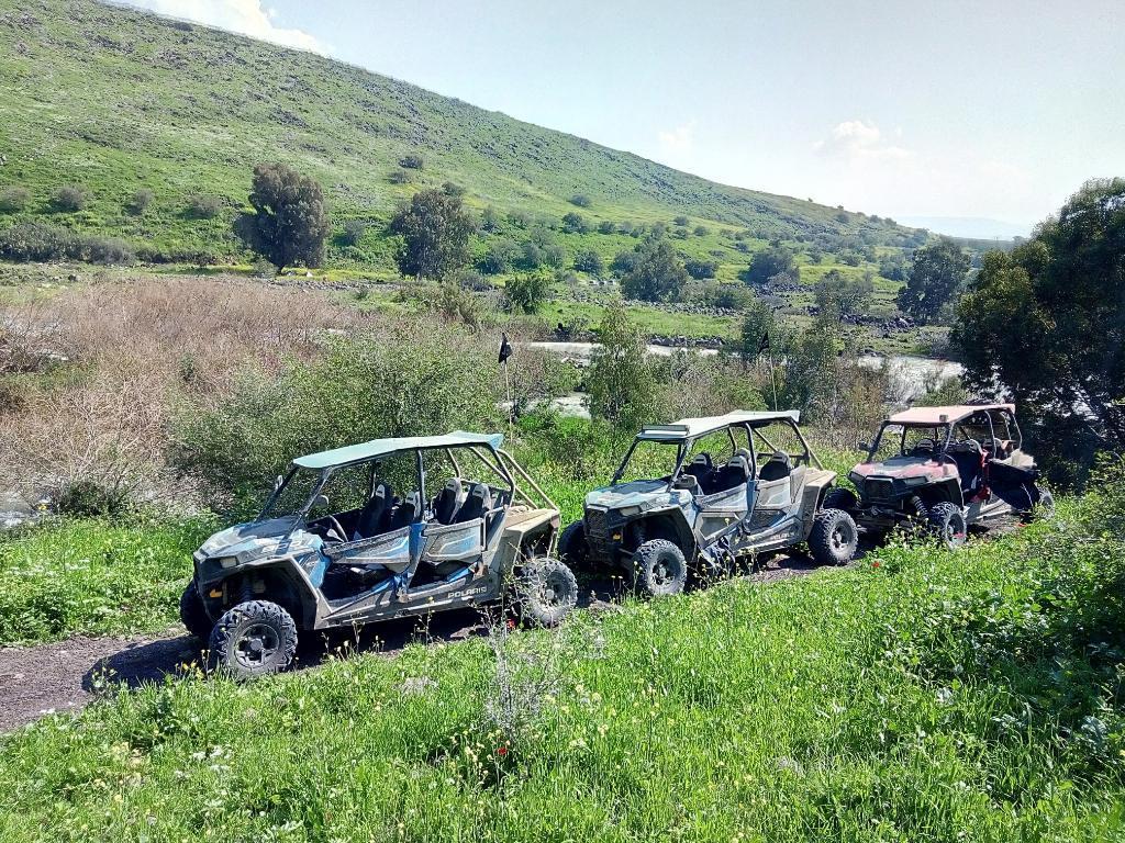 ריייזרים אליפלט ריייזרים אליפלט