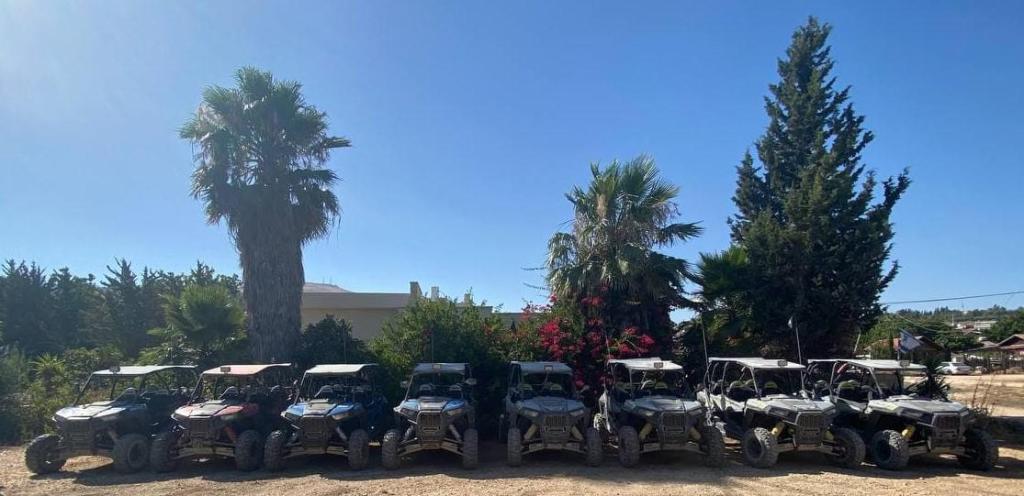 ריייזרים אליפלט ריייזרים אליפלט