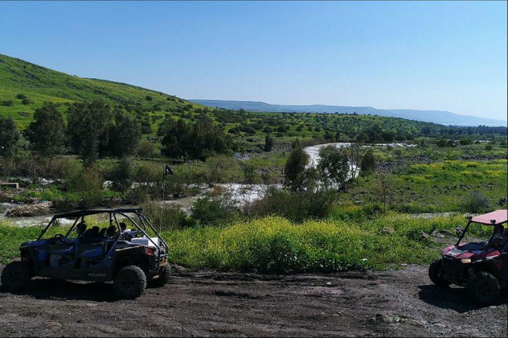 ריייזרים אליפלט ריייזרים אליפלט
