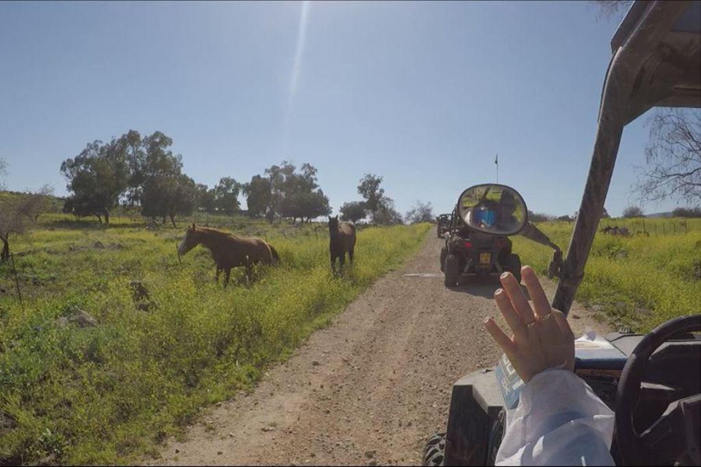 ריייזרים אליפלט ריייזרים אליפלט
