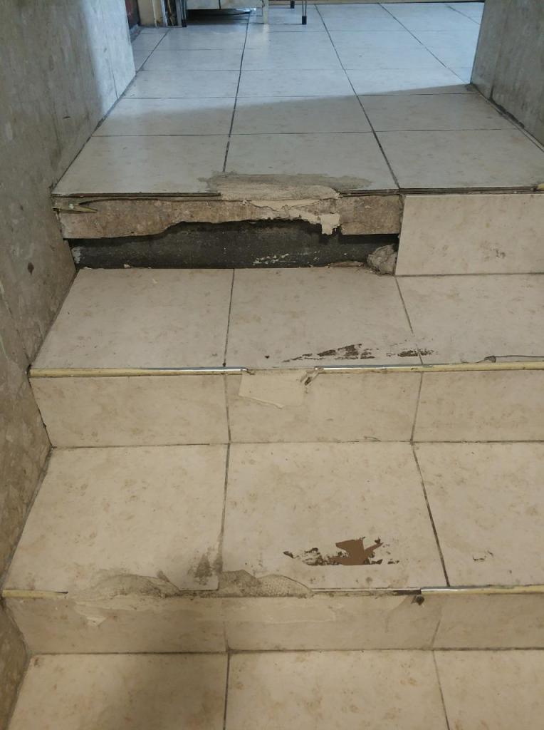 אלי דרוקר אלי דרוקר