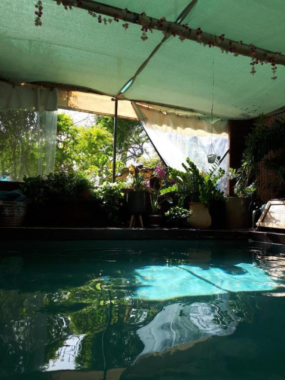 מאיה טיפולי מים מאיה טיפולי מים