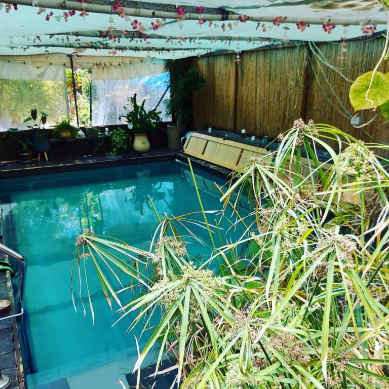 מאיה טיפולי מים מאיה טיפולי מים