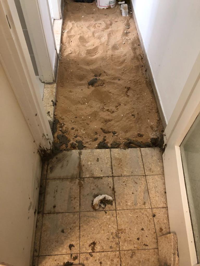 יניב ידי זהב יניב ידי זהב