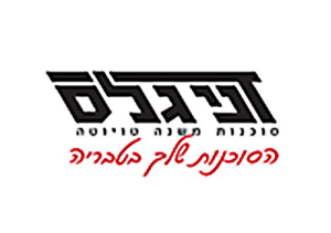 טויוטה דני גלס מוסך