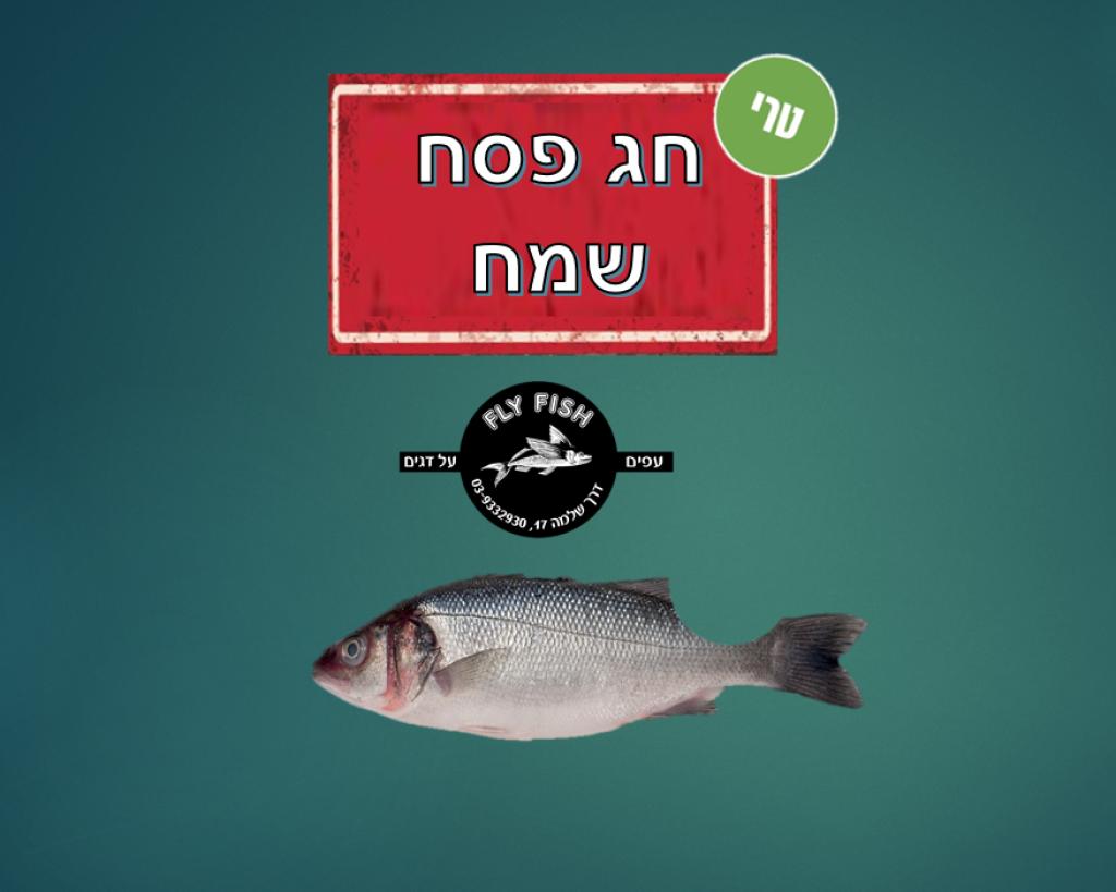 עפים על דגים פליי פיש עפים על דגים פליי פיש
