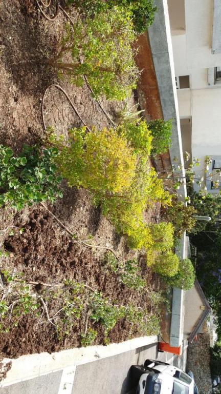 בר גינון ואחזקות בר גינון ואחזקות