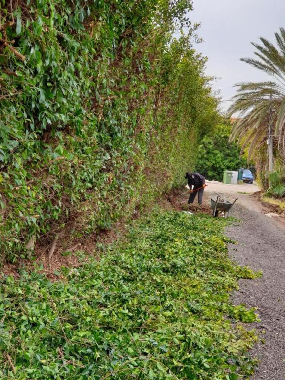 בר גינון ואחזקות בר גינון ואחזקות