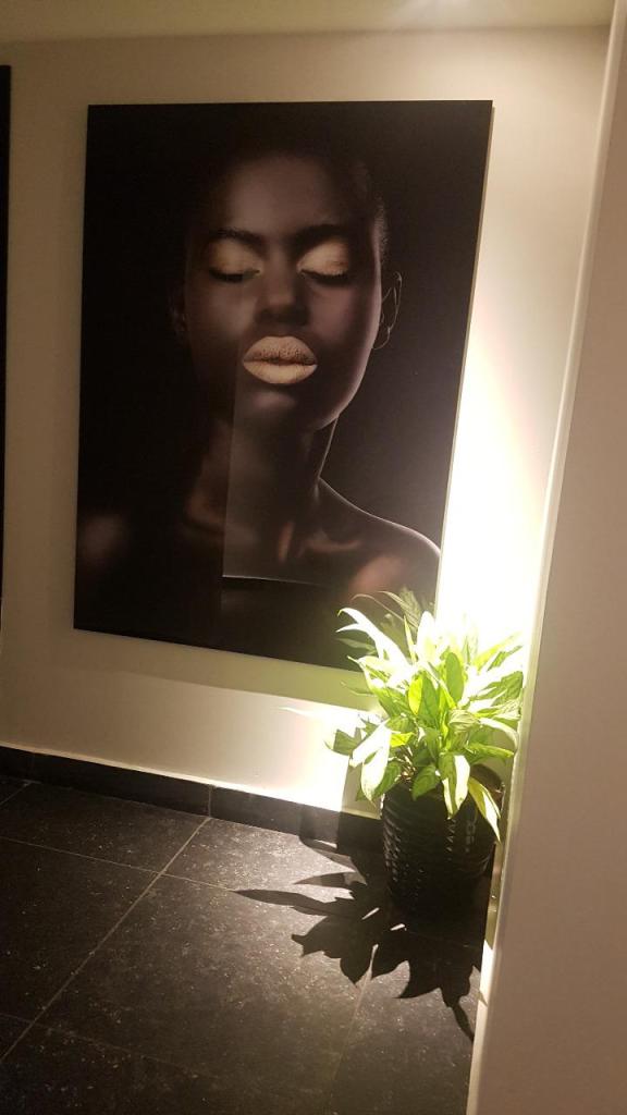 לינק ספא לינק ספא