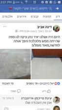 מקצוענים 2000