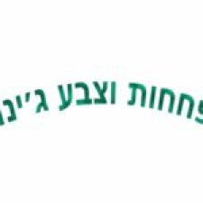 י. ג'ינו בע"מ