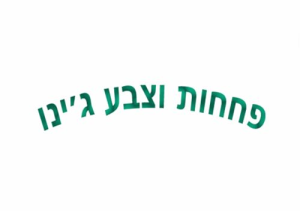 י. ג'ינו בע"מ