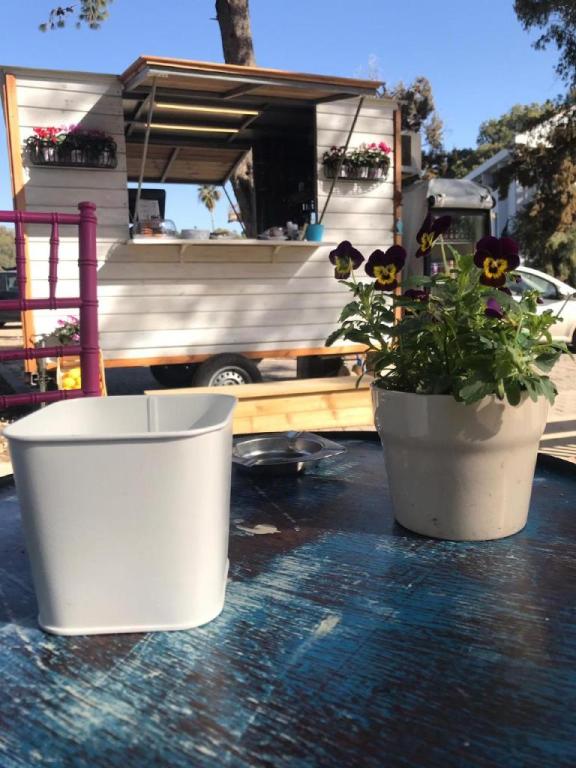 צ'ופצ'יק צ'ופצ'יק