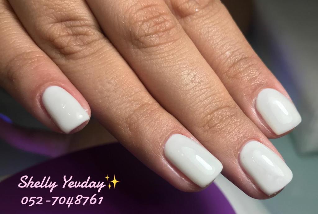 שלי קוסמטיקה מתקדמת שלי קוסמטיקה מתקדמת