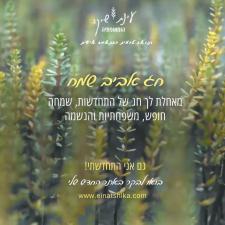 עינת שיקה הומאופתיה
