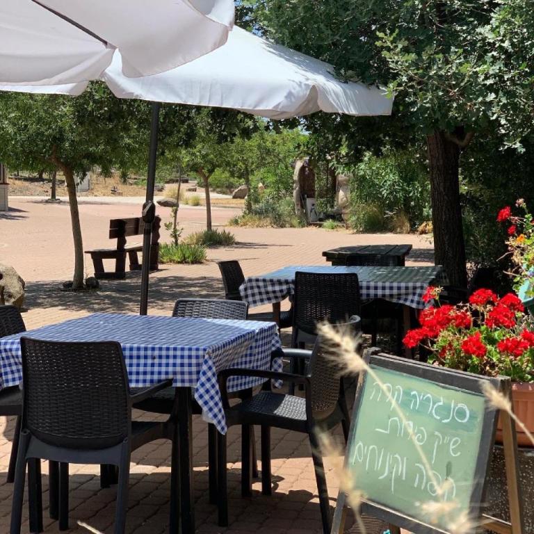 חיה בקפה חיה בקפה