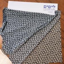 ליסיס