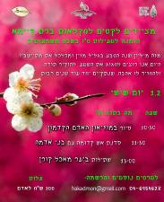 יערות מאכל בגליל