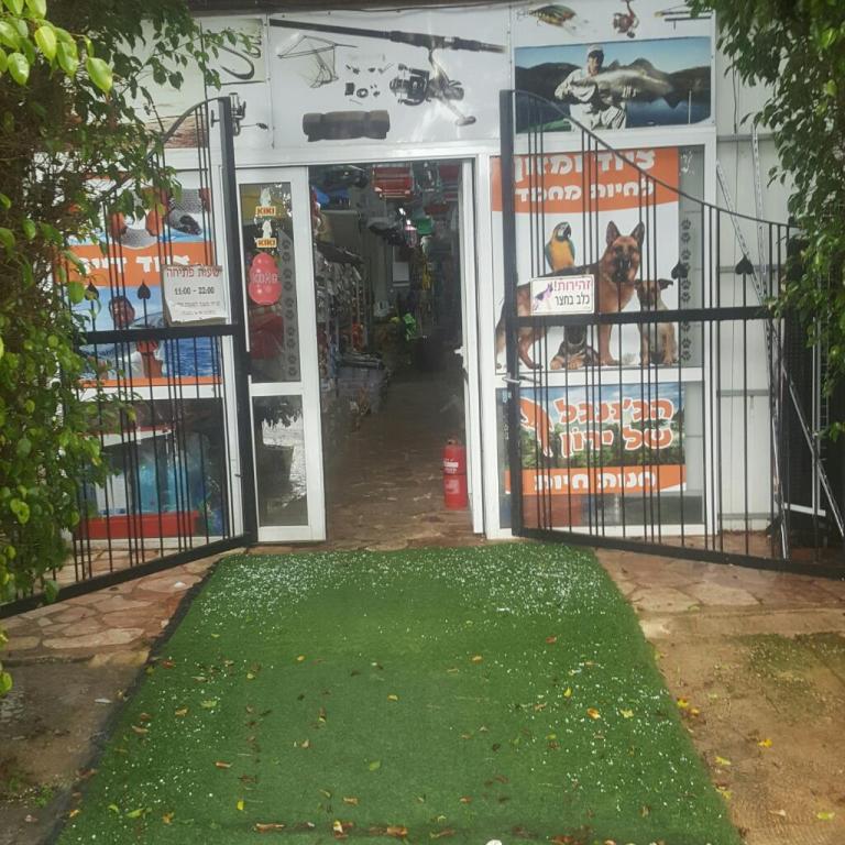 הג'ונגל של ירון הג'ונגל של ירון