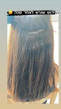 Sapir hair