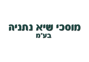 מוסכי שיא נתניה