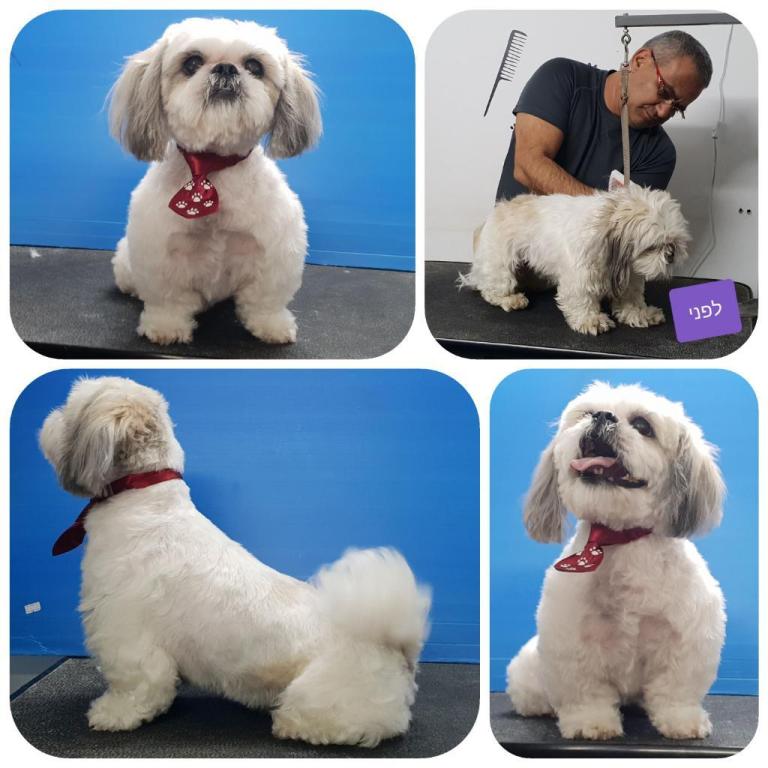 בונו סטייל בונו סטייל