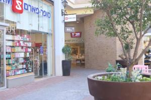 יודאיקה ואמנות יהודית