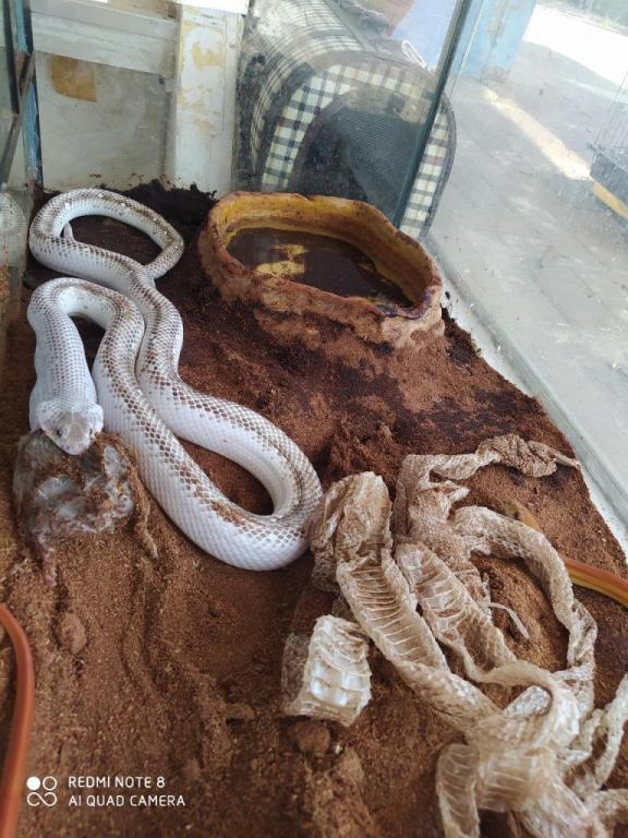 גן חיות גן חיות