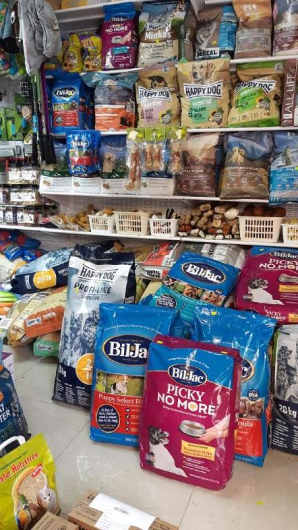 גן חיות גן חיות