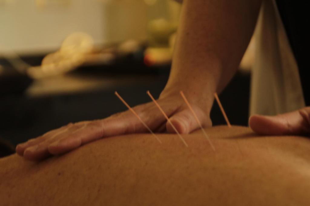 ספא גראז spa grage ספא גראז spa grage