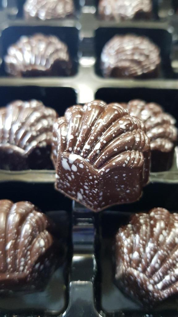 דניאלס שוקולד דניאלס שוקולד