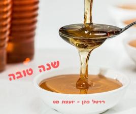רויטל כהן יועצת מס