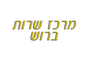 מרכז שירות ברוש בע"מ