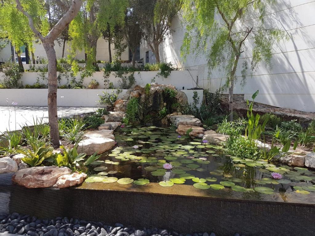 טובי עבודות גינון טובי עבודות גינון