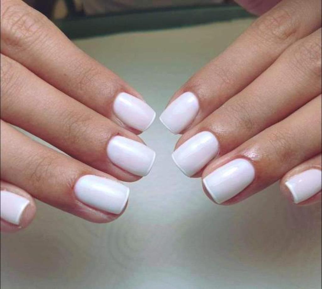 ביוטי ניילס אביגיל ביוטי ניילס אביגיל