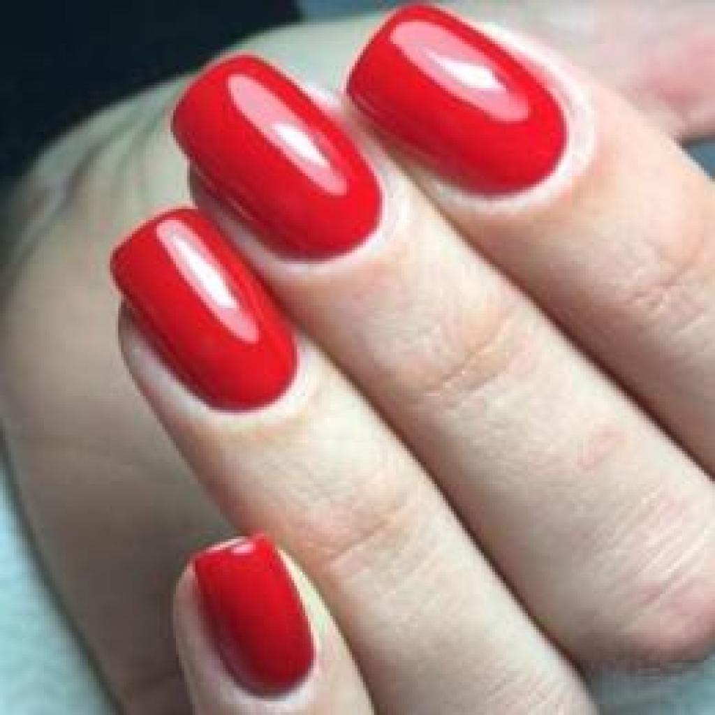 ביוטי ניילס אביגיל ביוטי ניילס אביגיל