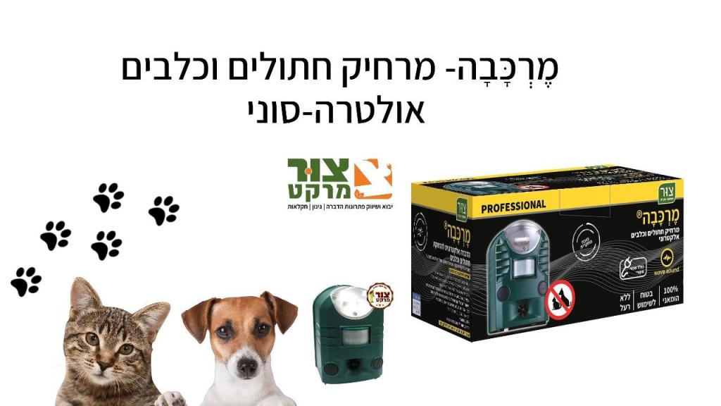 צור מרקט צור מרקט