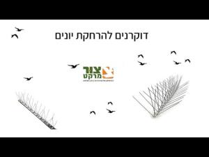 צור מרקט