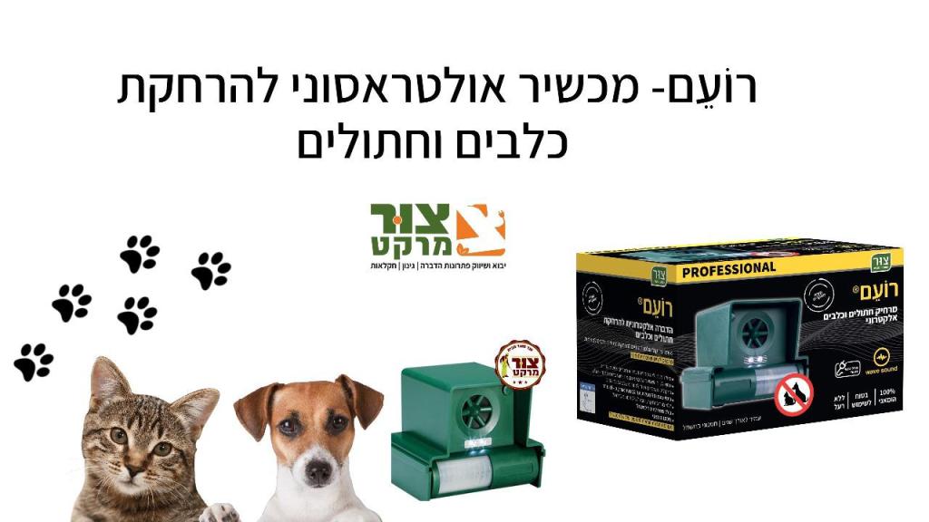 צור מרקט צור מרקט