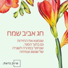 שיווק ברשת